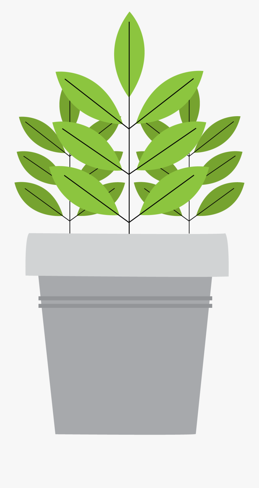 Flowerpot, Transparent Clipart