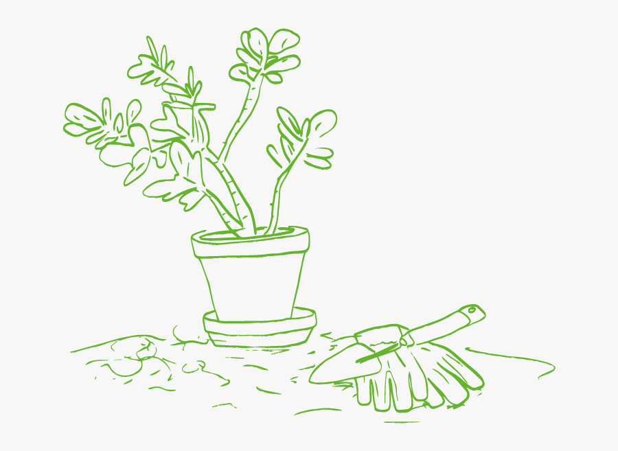 An Illustration Of A Potted Plant, Transparent Clipart