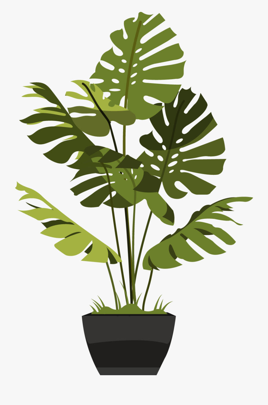 Fake Plants Hong Kong, Transparent Clipart