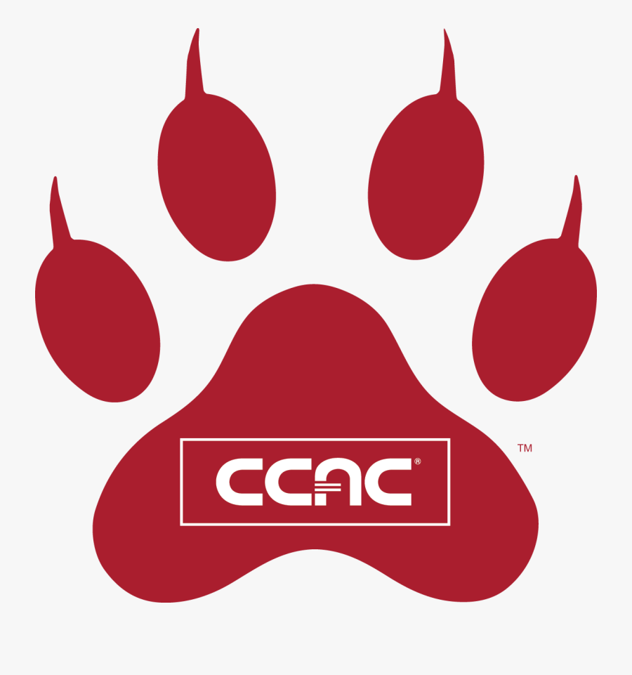 Wild Cat - Community College Of Allegheny County, Transparent Clipart