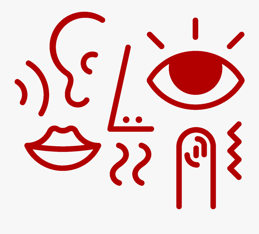 Mouth, Nose, Ear, Eye And Finger - Senses Png, Transparent Clipart