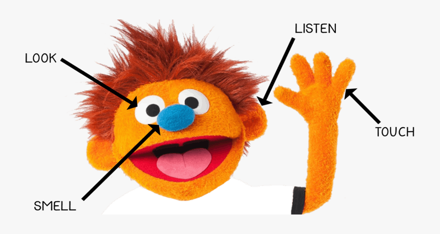 Hank The Health Hero Five Senses, Transparent Clipart