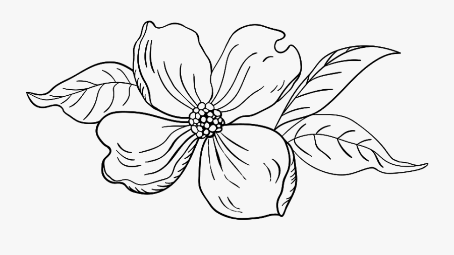 Line Art, Transparent Clipart