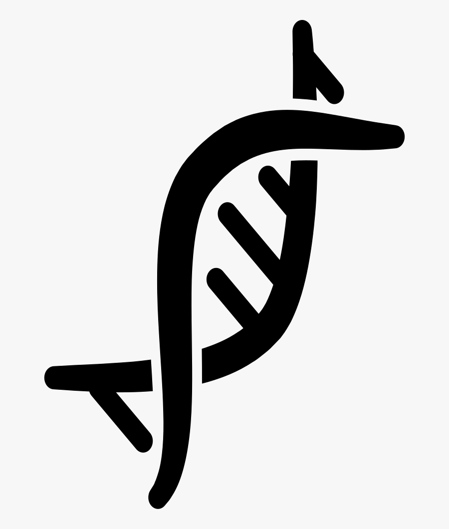 Chromosome - Gene Png, Transparent Clipart
