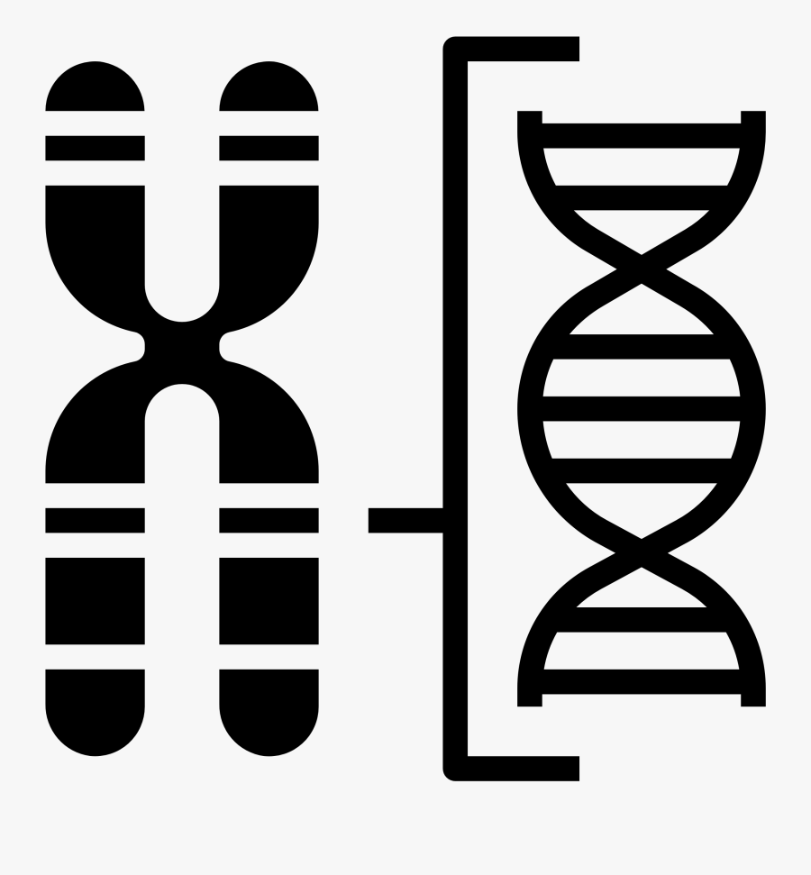 Chromosome Icon, Transparent Clipart
