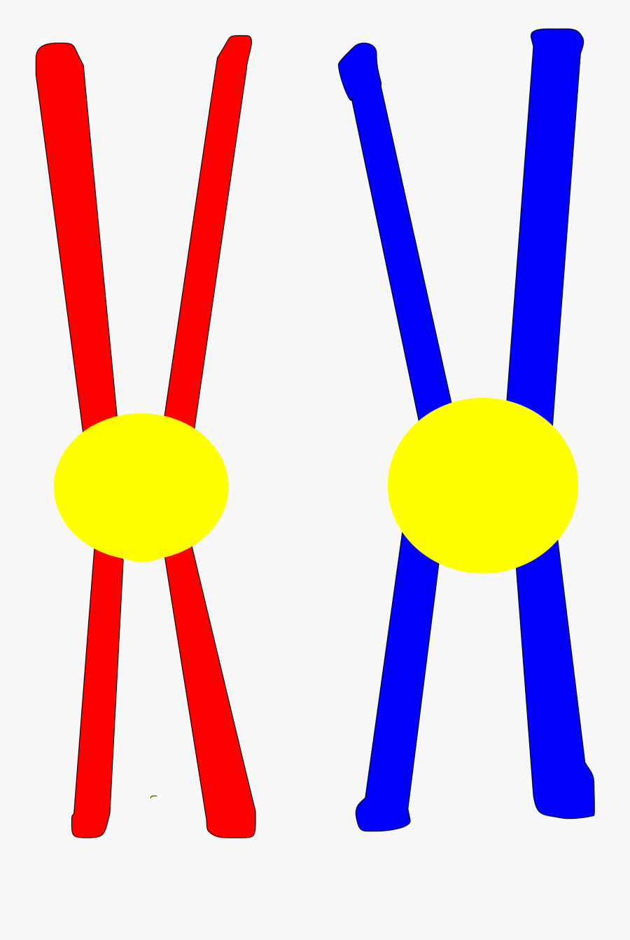 Clip Art, Transparent Clipart