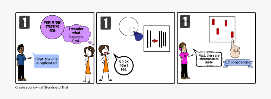 Meiosis And Mitosis Conversation, Transparent Clipart