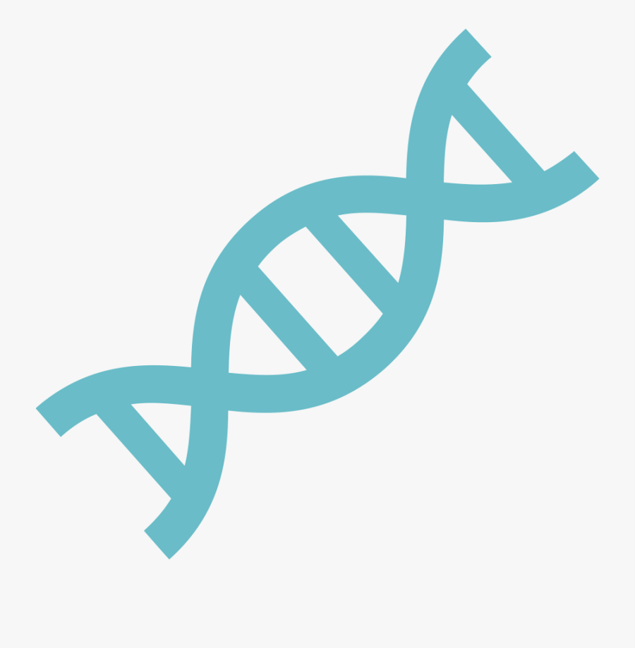 Health Information System Vector, Transparent Clipart