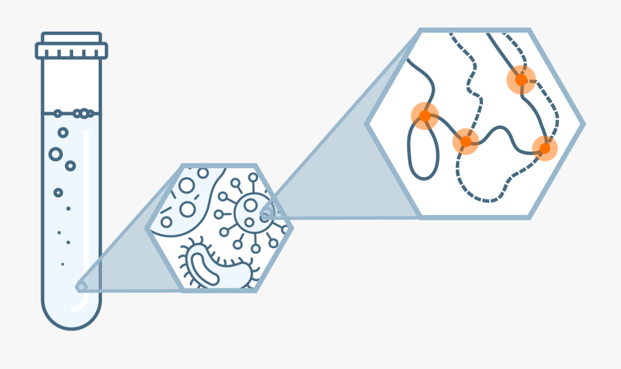 Graphic Design, Transparent Clipart