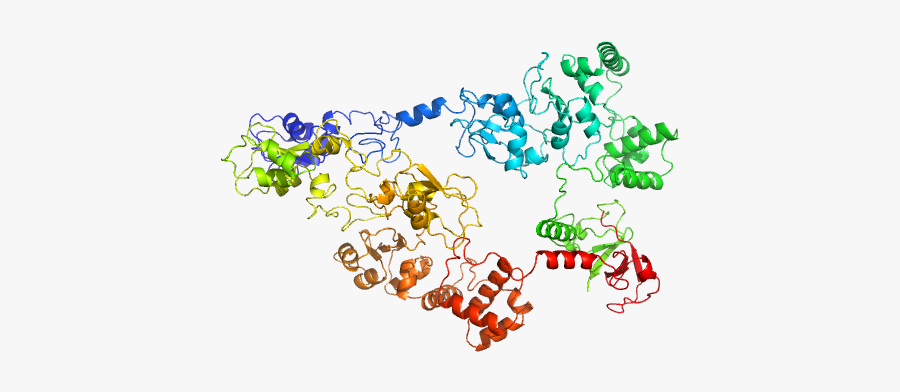 E3 Ubiquitin-protein Ligase Xiap Haddock Model"
				title="load - Illustration, Transparent Clipart