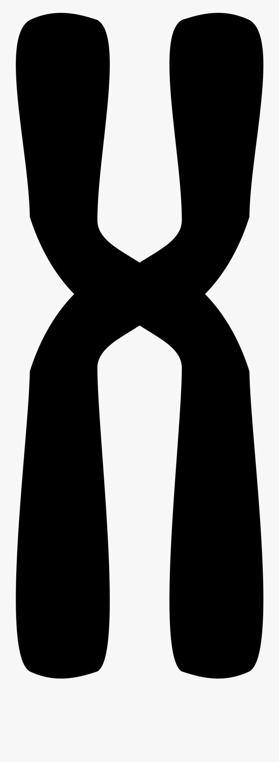Chromosome Icon, Transparent Clipart