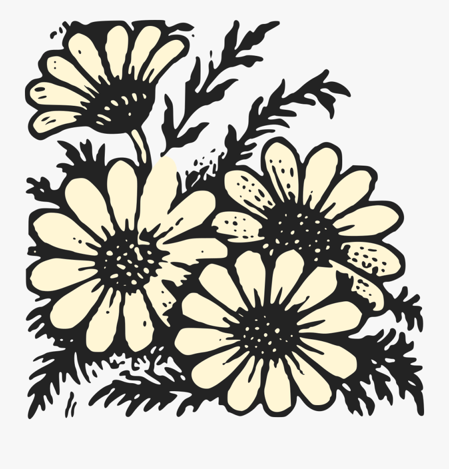 Daisies - Coloring Book, Transparent Clipart