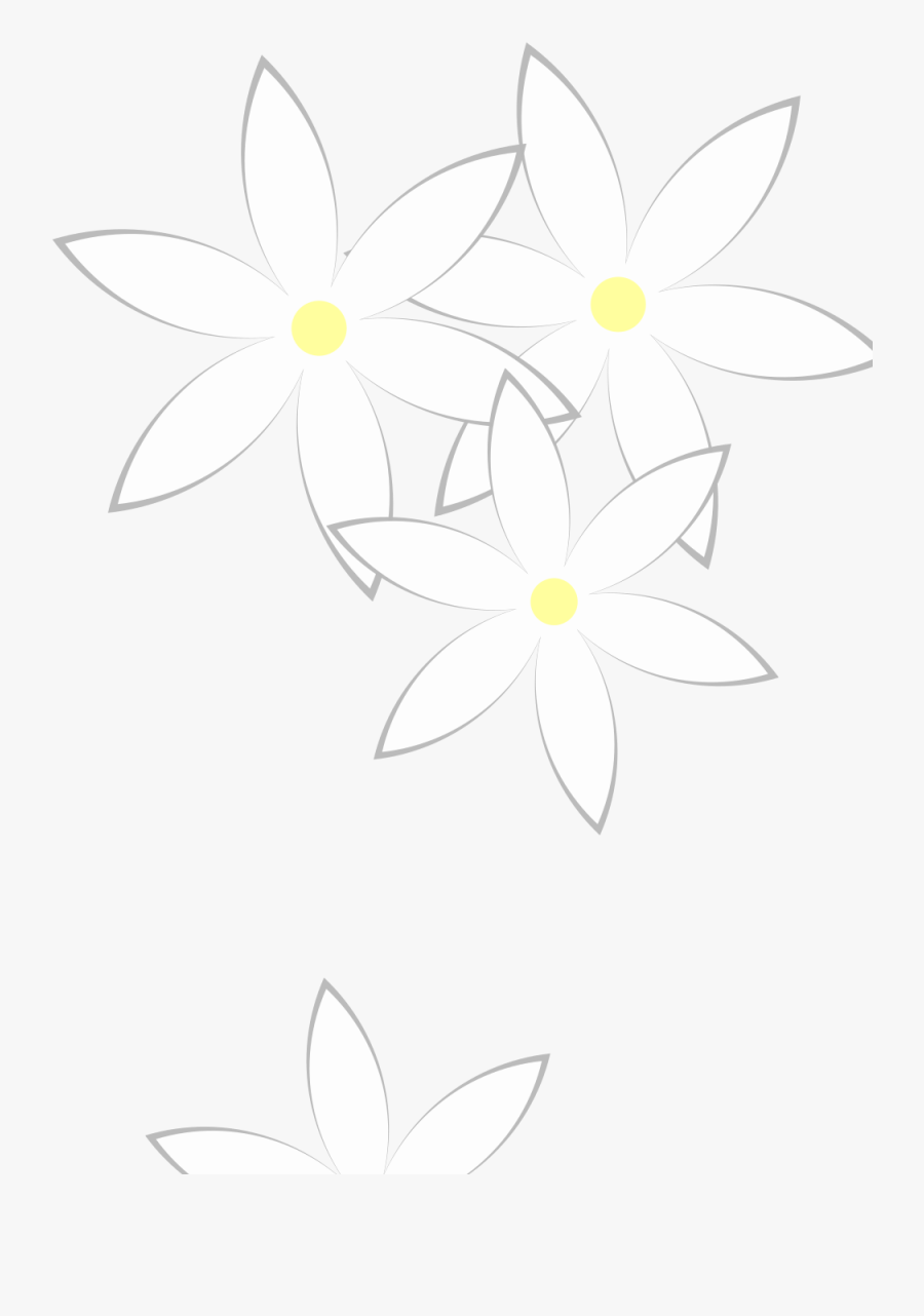 Daisies - Jasmine, Transparent Clipart