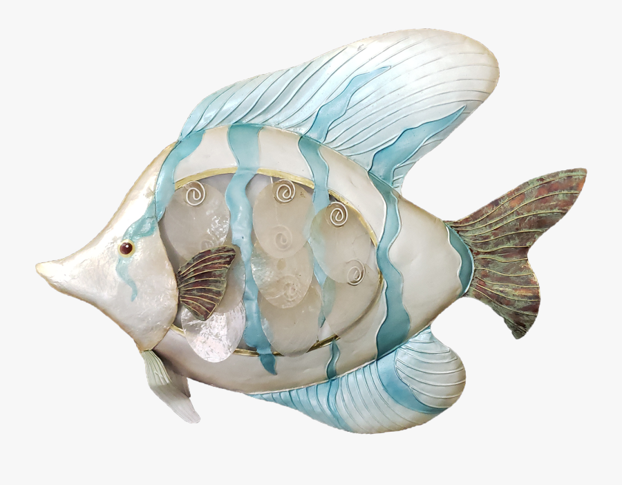 Seaside Tropical Fish Wall Art - Conch, Transparent Clipart