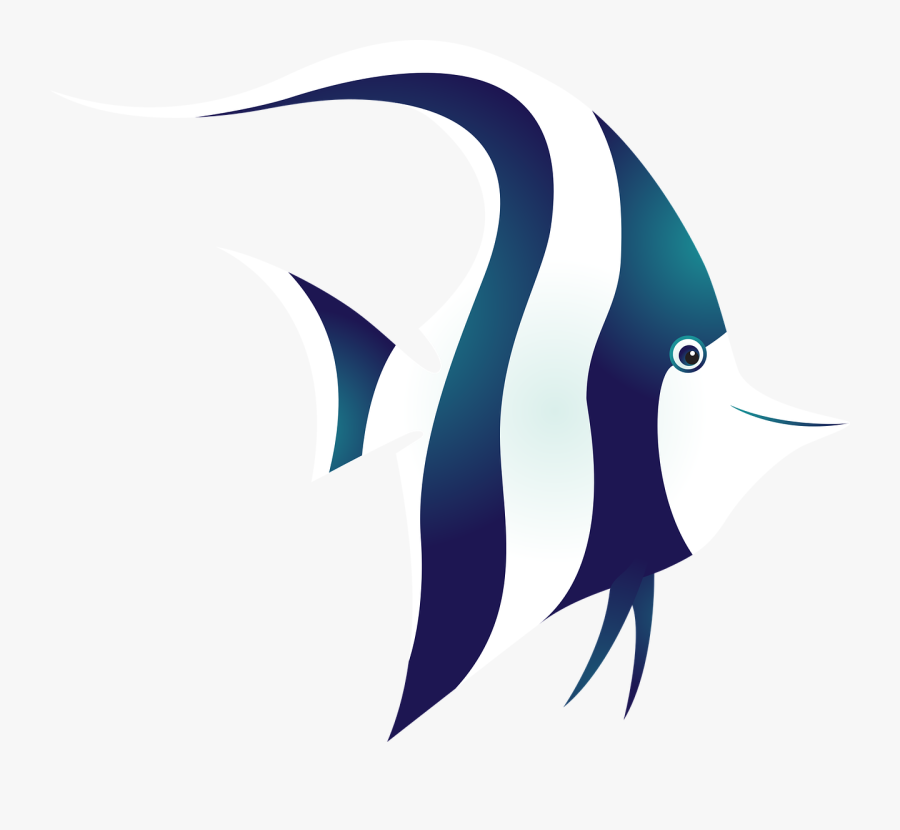 Fish Tropical Fish Sea Free Picture - Fishing, Transparent Clipart