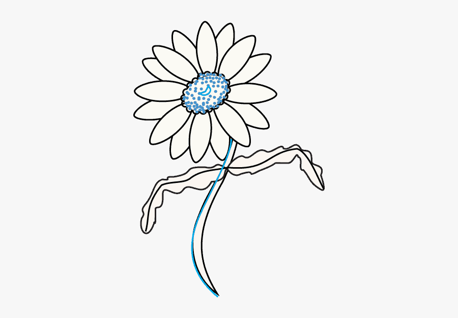 How To Draw A Daisy Easy Drawing Guides - Draw Flowers Daisy, Transparent Clipart