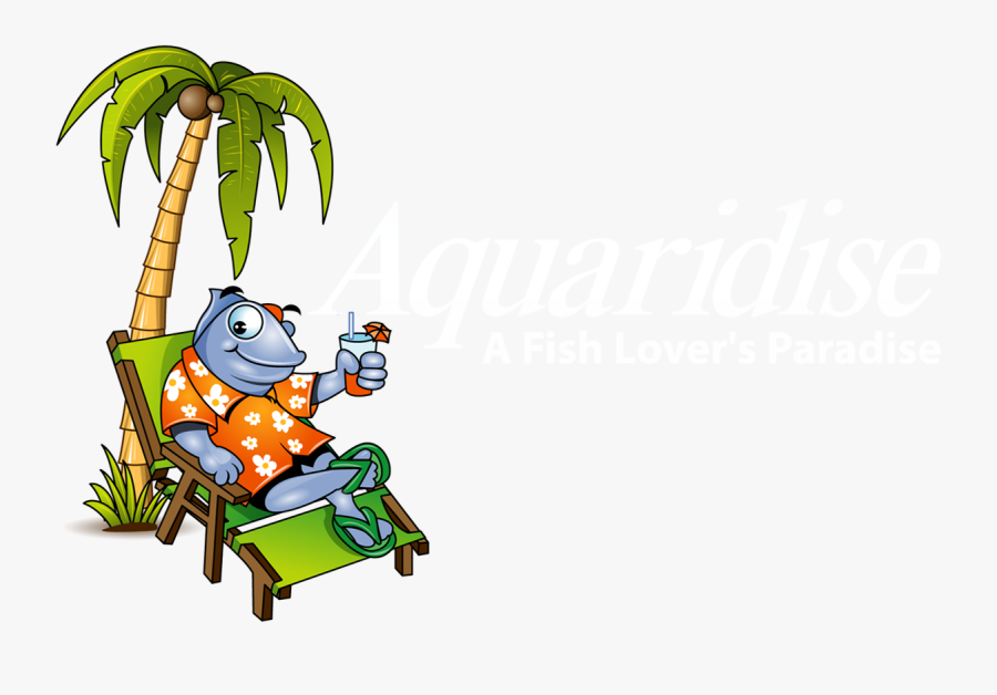 Aquarium Clipart Fish House - Cartoon, Transparent Clipart