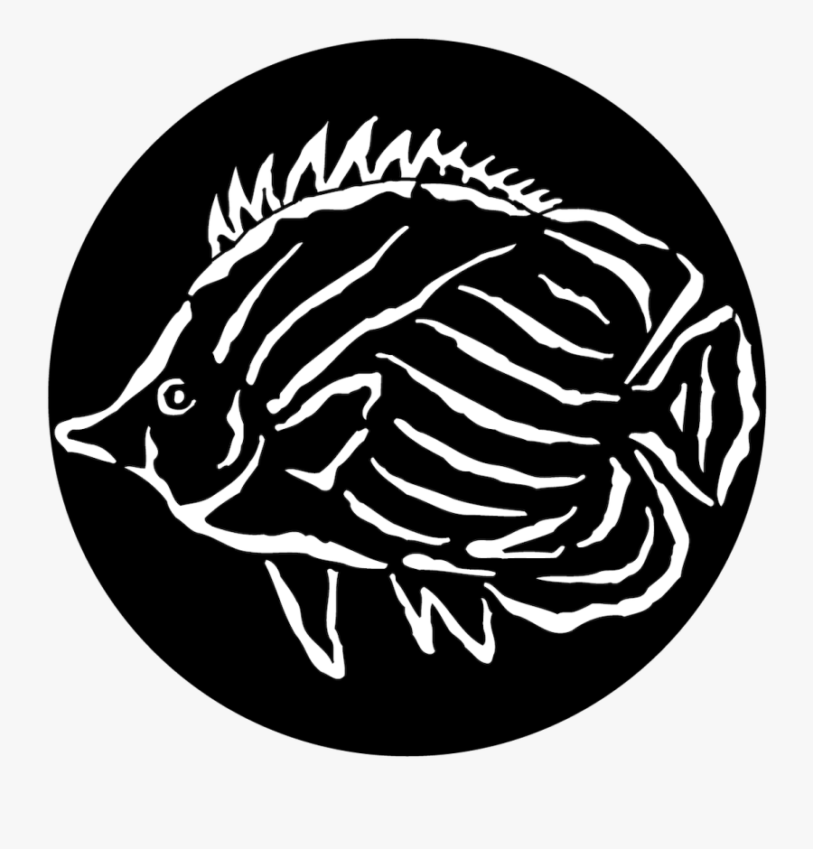 Apollo Sea Tropical Fish Gobo"
 Data-large Image="//cdn - Gobo Patterns, Transparent Clipart