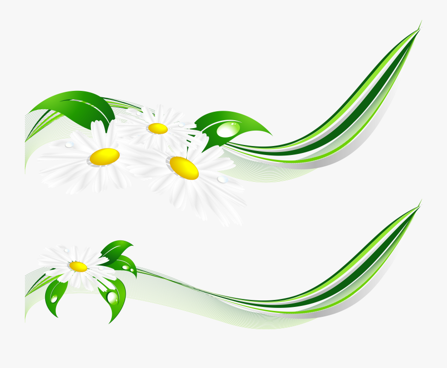 Misc Clipart Daisies - Raster Graphics, Transparent Clipart