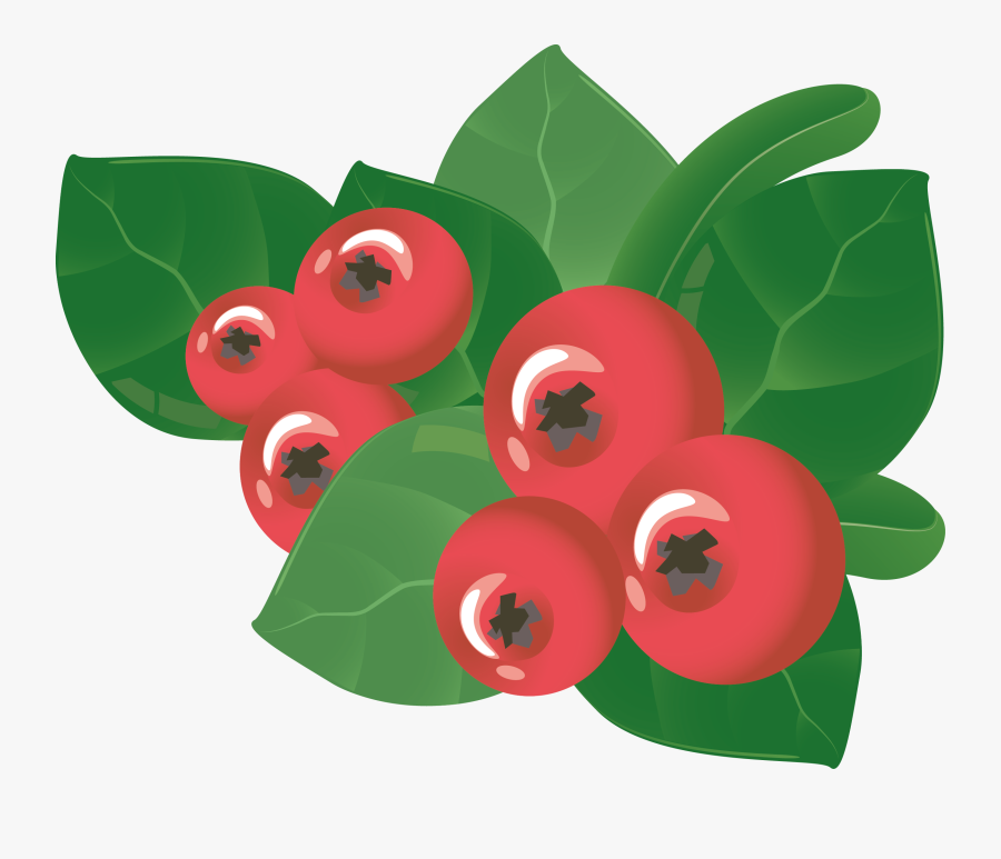 Holly Clipart Berry - 2nd Edition D&d Goodberry, Transparent Clipart