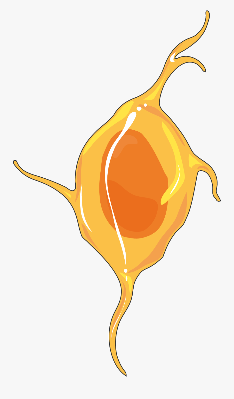 Neuroblaste - Neuroblast Png, Transparent Clipart