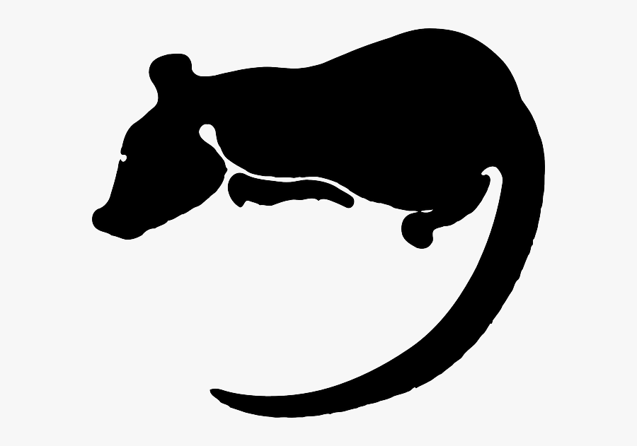 Free Pictures Rat - Dead Rat Clip Art, Transparent Clipart