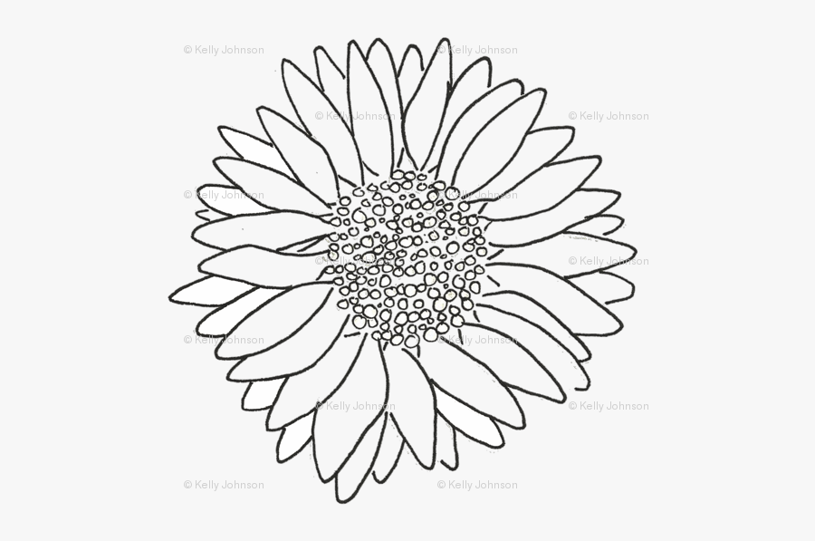 Pink Daisy Sticker, Transparent Clipart