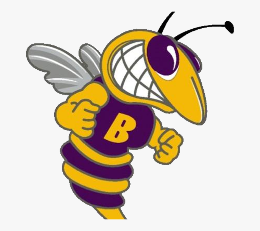 Hornet Clipart Highland - Ce Byrd High School Logo, Transparent Clipart