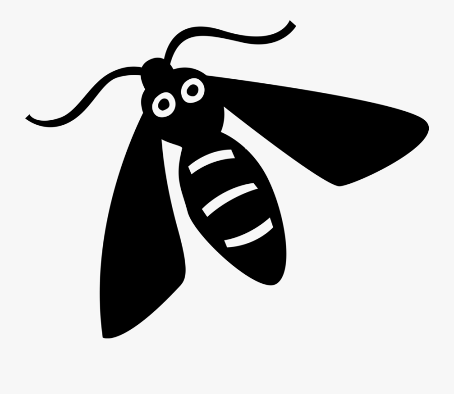 Bugs Vector Crawly - Net-winged Insects, Transparent Clipart