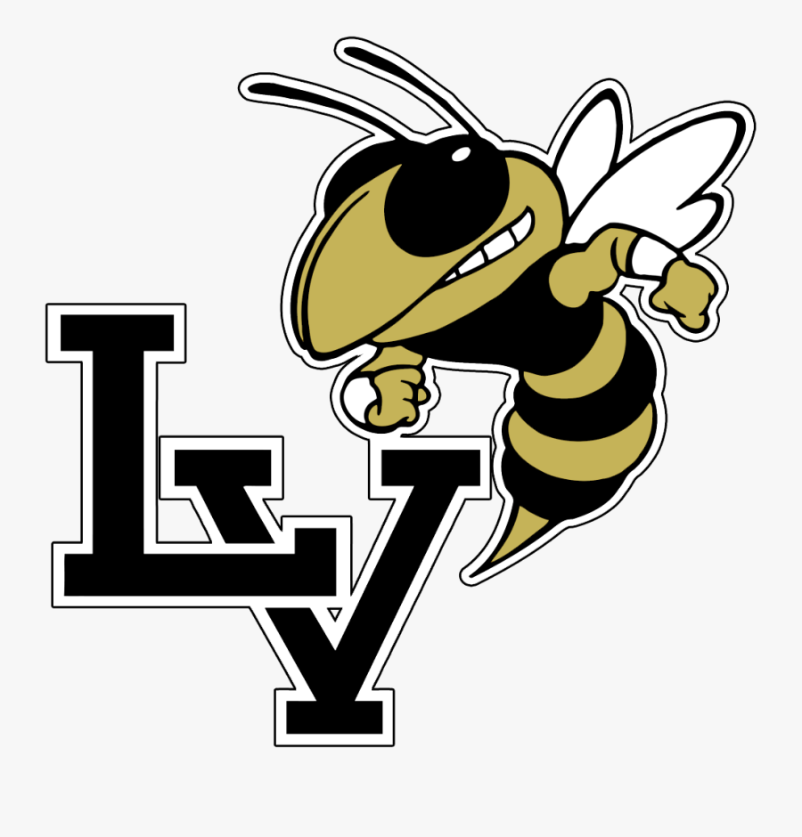 Denison Yellow Jackets Logo, Transparent Clipart