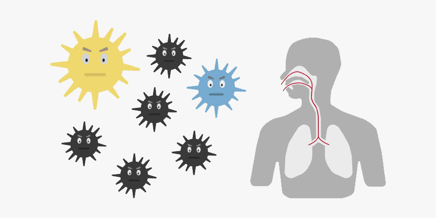 Illustration, Transparent Clipart