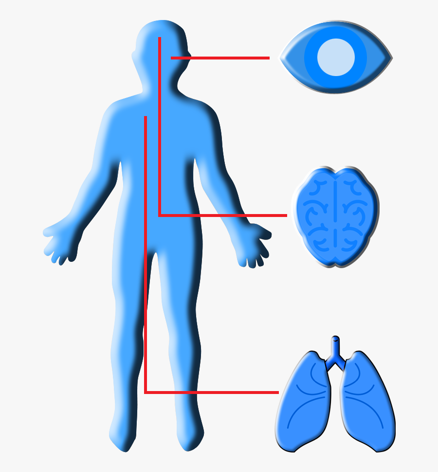 Clip Art, Transparent Clipart