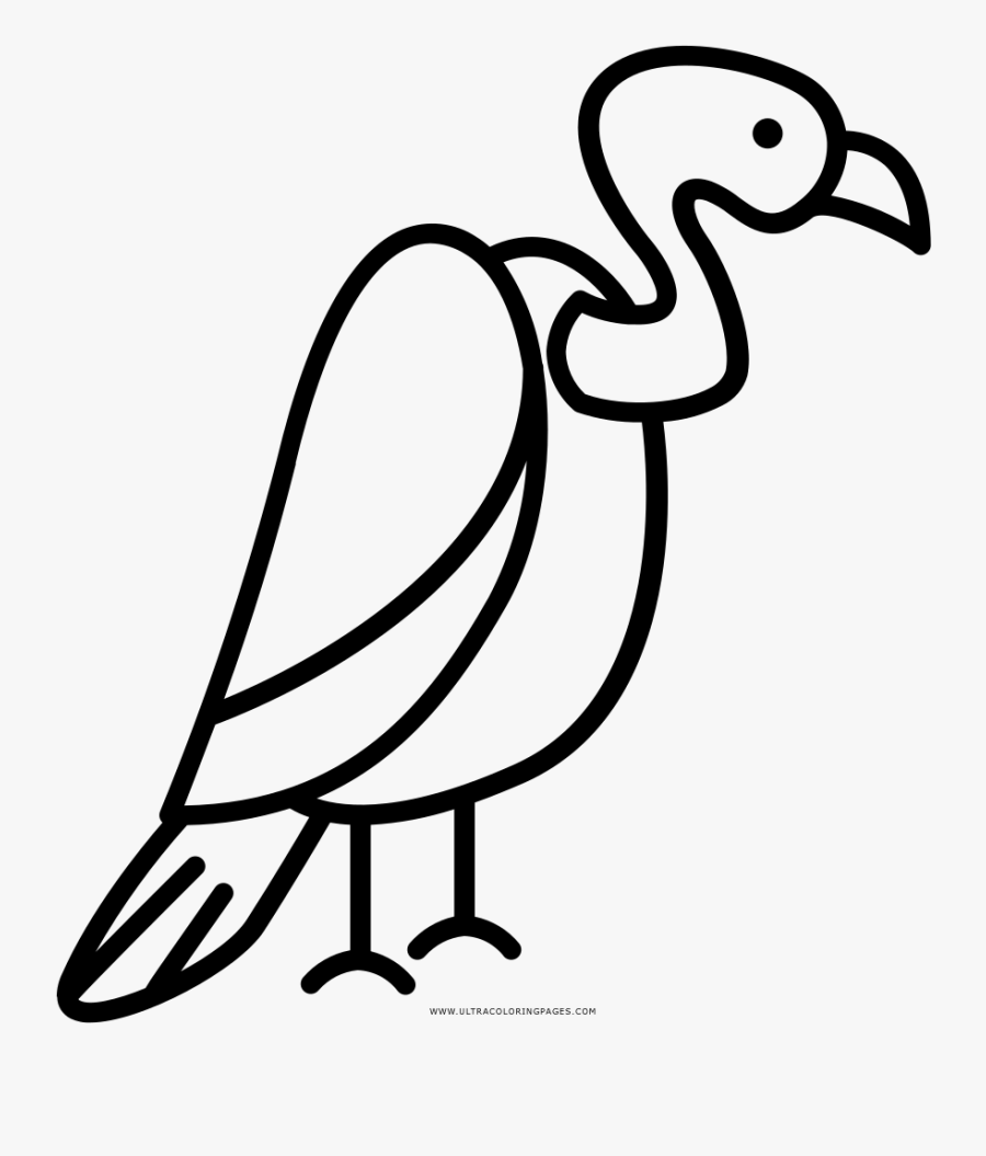 Vulture Coloring Page - Como Dibujar Un Buitre, Transparent Clipart