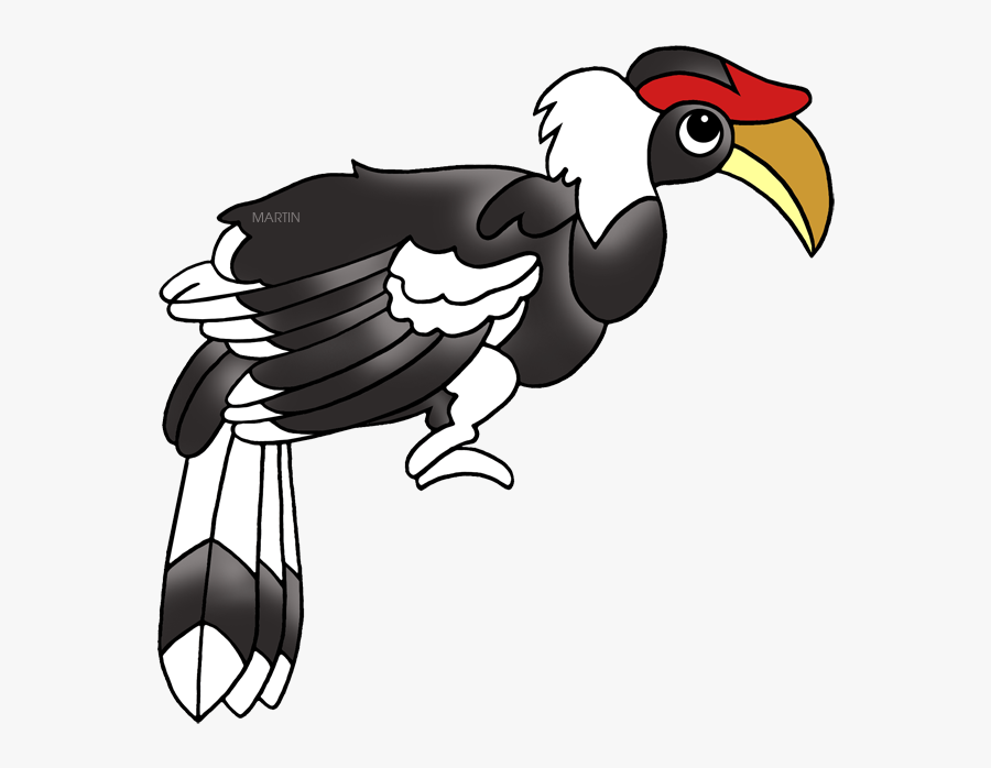 Malaysia Hornbill - Malaysia Hornbill Png, Transparent Clipart