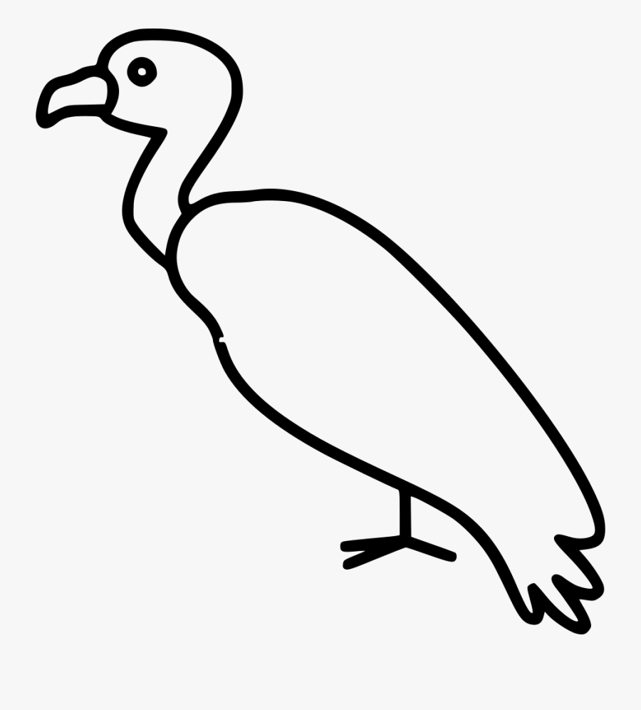 Vulture - Seabird, Transparent Clipart