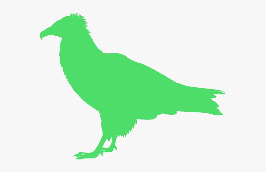 Vulture Clip Art, Transparent Clipart