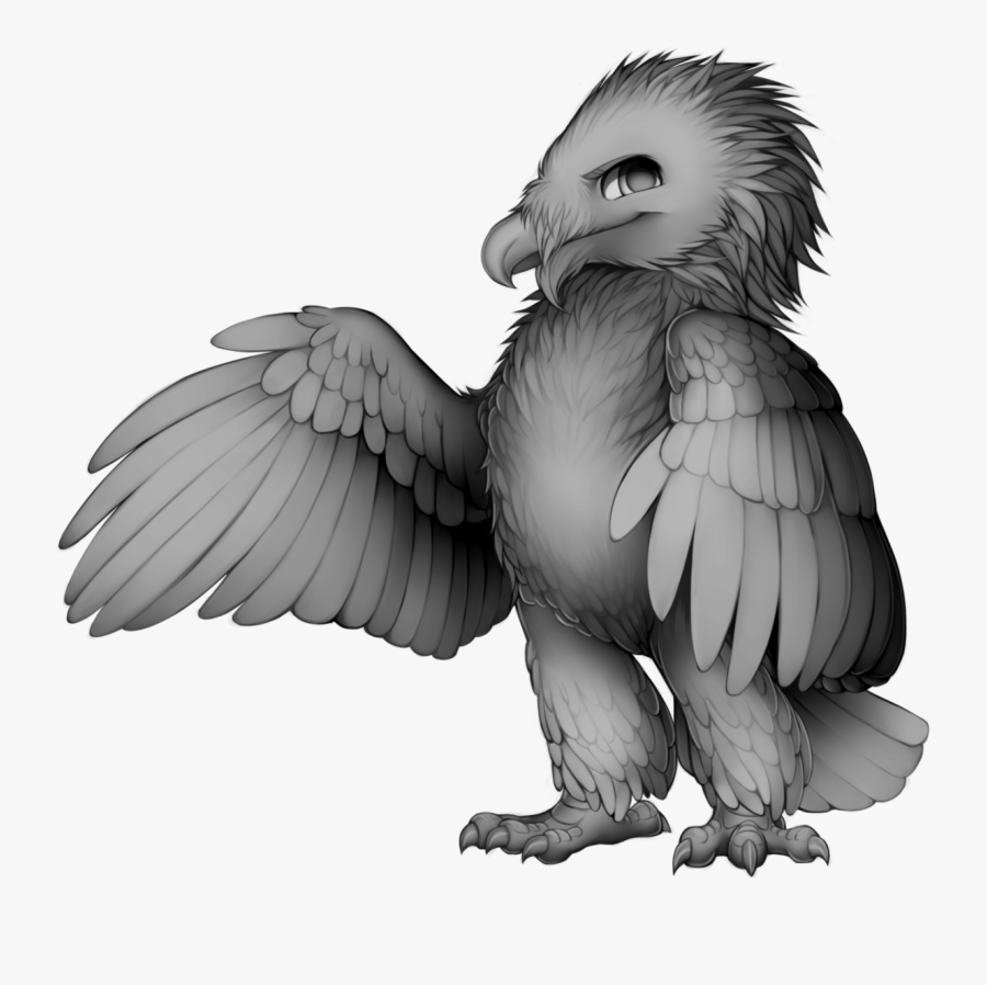 Transparent Vulture Clipart Black And White - Bases Furvilla, Transparent Clipart