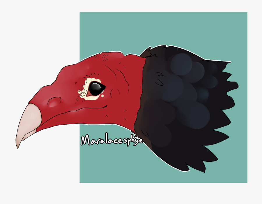 M"alternate Fursona - Turkey Vulture, Transparent Clipart