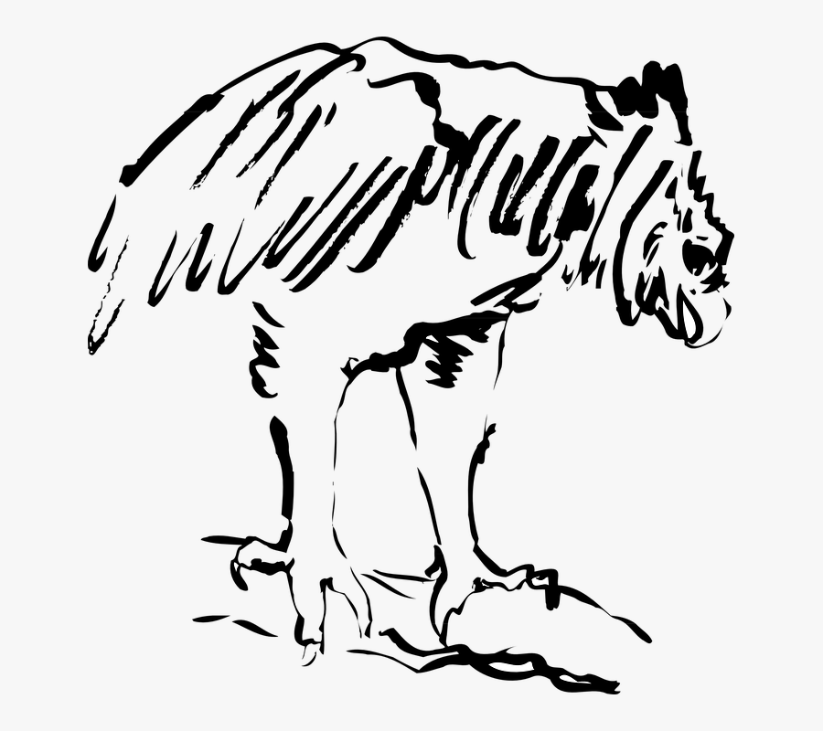 Bird, Branch, Vulture, Predator, Perched - Illustration, Transparent Clipart