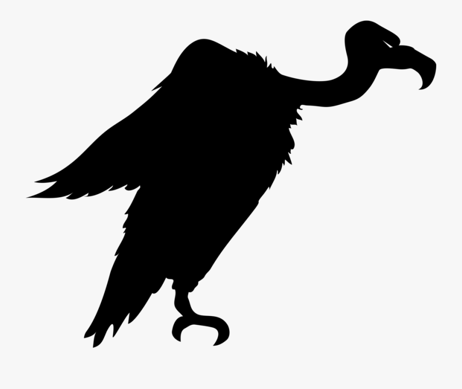 Wildlife,water Bird,duck - Silhouette Of Vulture, Transparent Clipart