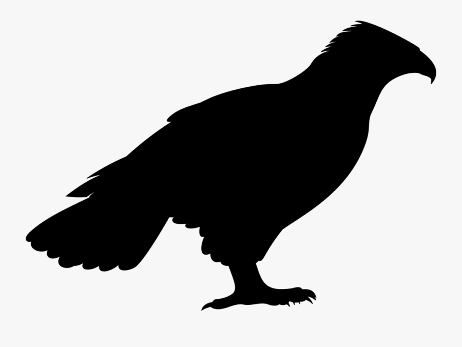 Silhouette Eagle Bird Png, Transparent Clipart