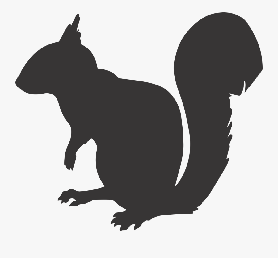 Squirrel Silhouette Chipmunk Clip Art - Squirrel Clipart Black, Transparent Clipart