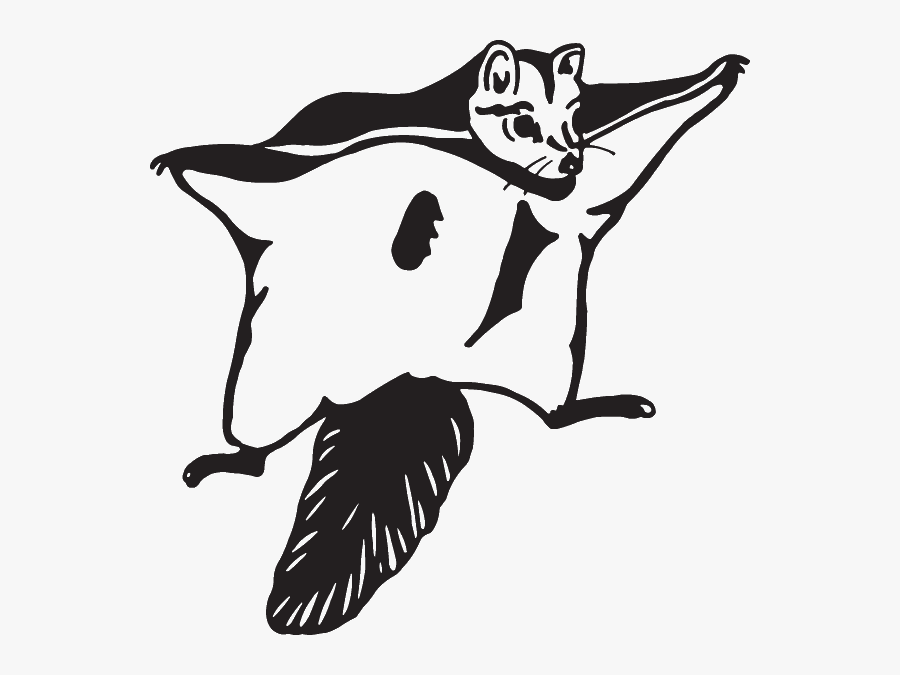 Squirrel Clip Art Black And White, Transparent Clipart