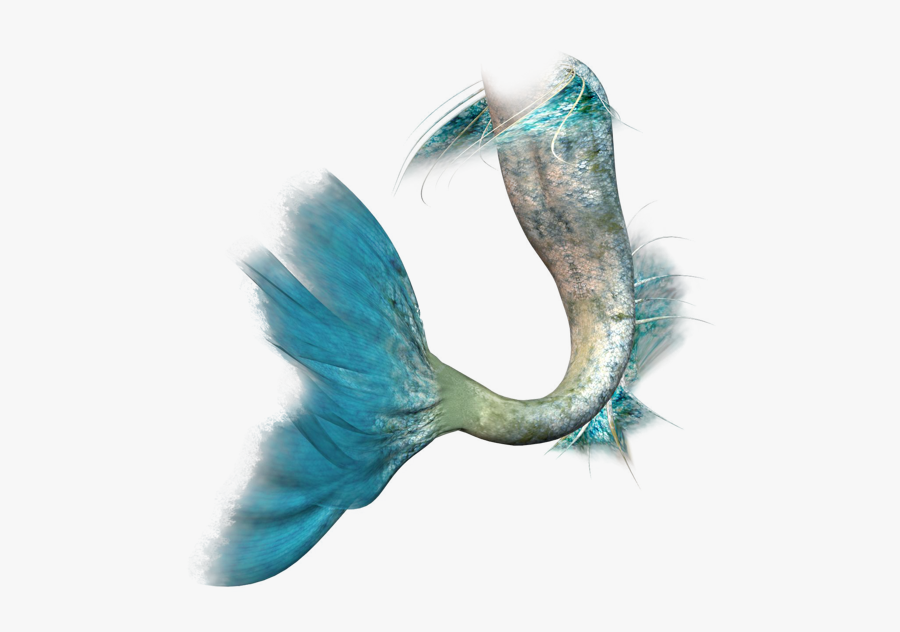 Ariel Mermaid Siren Clip Art - Mermaid With Transparent Background, Transparent Clipart