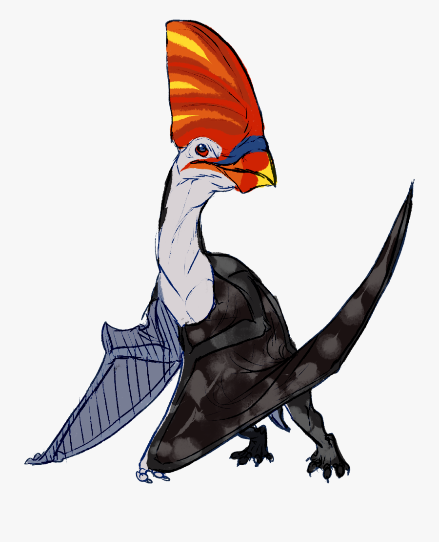 Pileated Woodpecker, Transparent Clipart