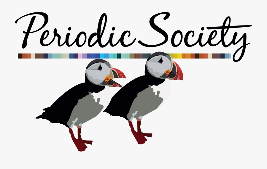 Atlantic Puffin, Transparent Clipart