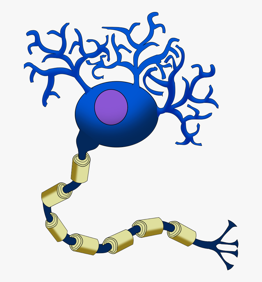 Neuron Cartoon - Neurotransmitter Filled Vesicles Neurons, Transparent Clipart