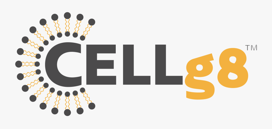 Graphic Design, Transparent Clipart