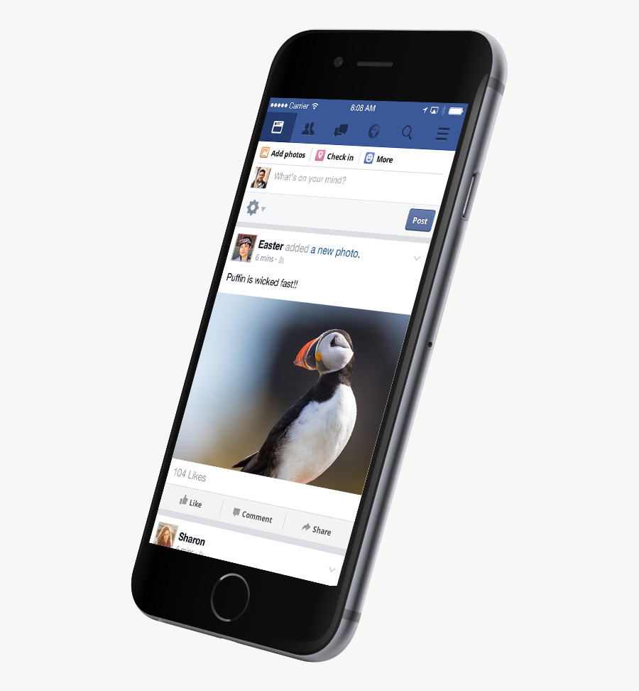 Atlantic Puffin, Transparent Clipart