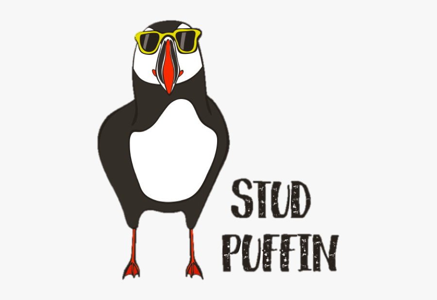 Stud Puffin, Transparent Clipart